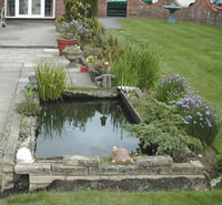 Suffolk Garden Design