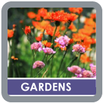 Suffolk gardener